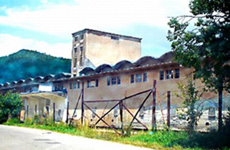Vinko Lale: Nabavio sam pušku pa sam poslat u logor