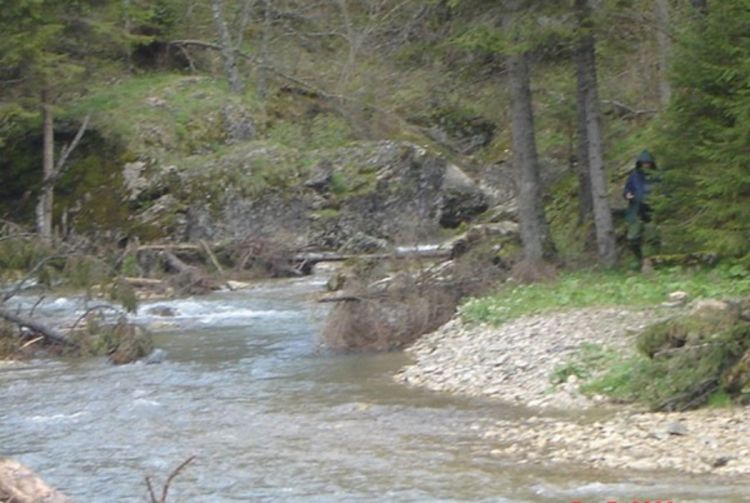 Vatra se širi prema dolini rijeke Ugar