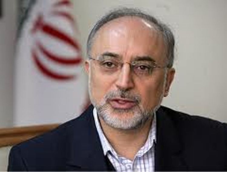 Salehi: Oformiti tribunal protiv Izraela