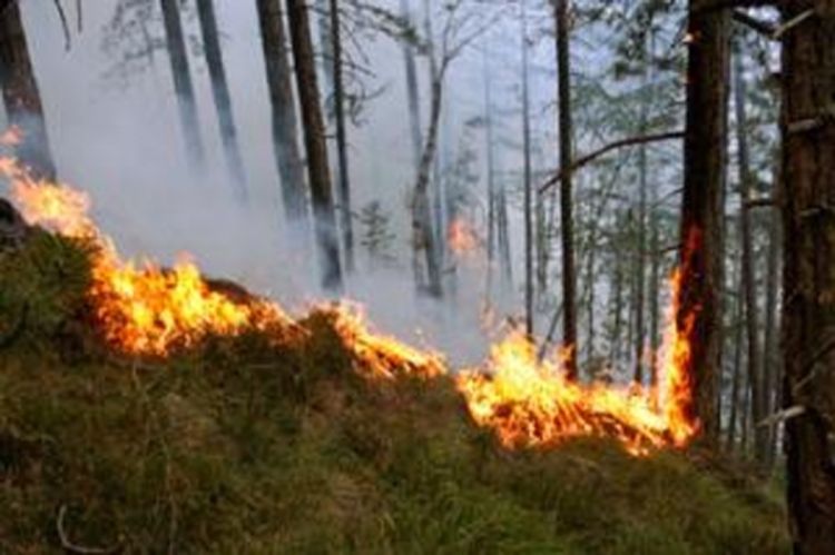 Zaustavljeno napredovanje vatre sa Tare