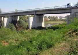 Presušila rijeka Sava kod Broda