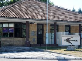 Kosmos i dalje prizemljen