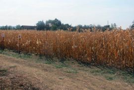 Za pomoć poljoprivrednicima 400.000 KM