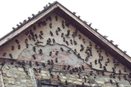 Laste okupirale Višegrad