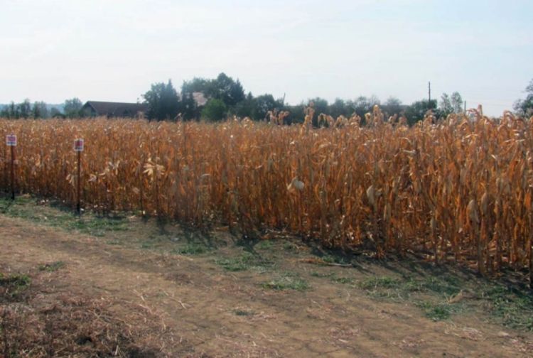 Za pomoć poljoprivrednicima 400.000 KM