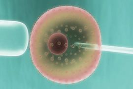 Prvi put stvorili bebe iz matičnih stanica