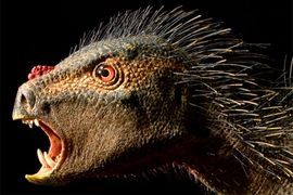 Otkriven dinosaurus vampir