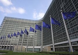 Ograničen napredak BiH na putu ka EU u 2012. 