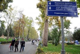 Za ispite dovoljno osam rokova