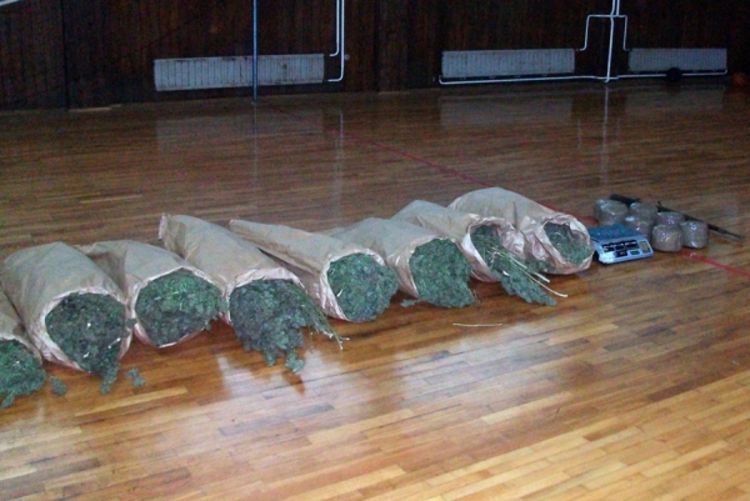 U Gradišci pronađena 63 kilograma marihuane