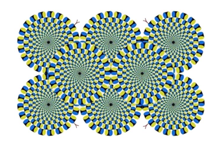 Rotirajuće zmije mjere stres