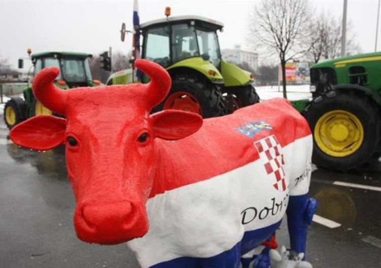 Hrvatski mljekari od jutros prekinuli isporuku mlijeka