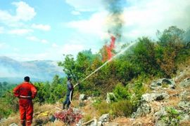 Split: Izbio požar, gori borova šuma