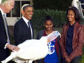 Obama pomilovao dvije ćurke