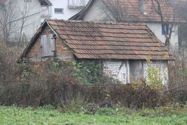 Nesavjesna majka puštena na slobodu