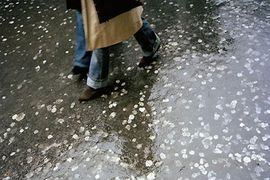 Meksiko uvodi porez na žvake