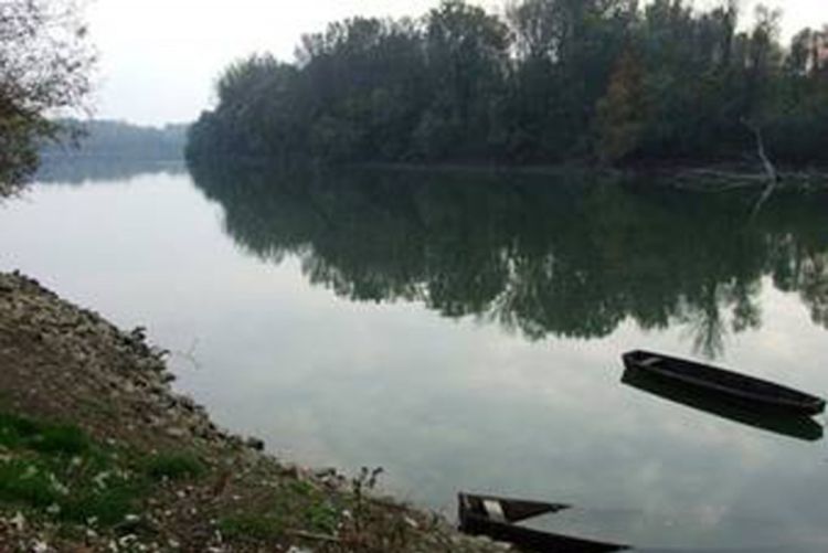 Panić: Stanje nije alarmantno