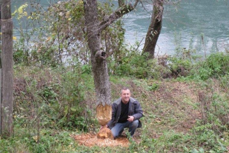 Dabrovi izgradili branu na pritoci Une