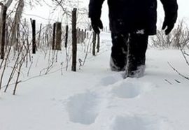 Beživotno tijelo Branka Miljuša nađeno u snijegu