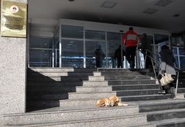 Žućo "čuva" Vijeće naroda RS