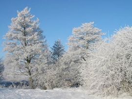 Dijelovi Rusije na - 52 stepena Celzijusa