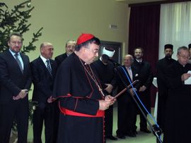 Kardinal Puljić: 2013. godina - godina vjere
