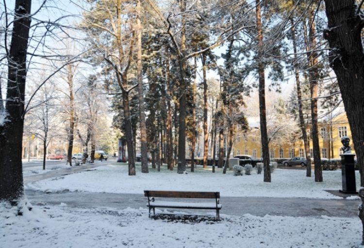 Sibirska zima u BiH