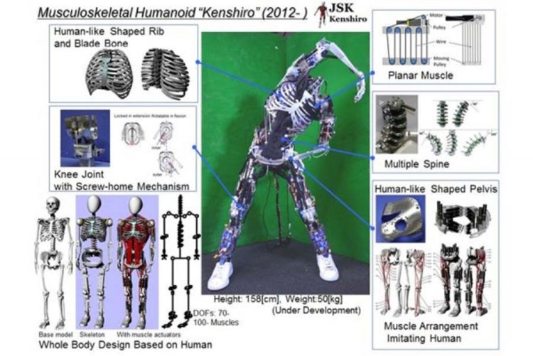 Napravljen robot nalik 12-ogodišnjem dječaku