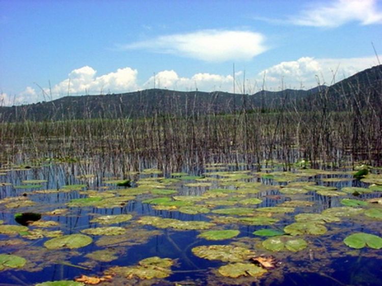 Kampanja za očuvanje Hutovog blata