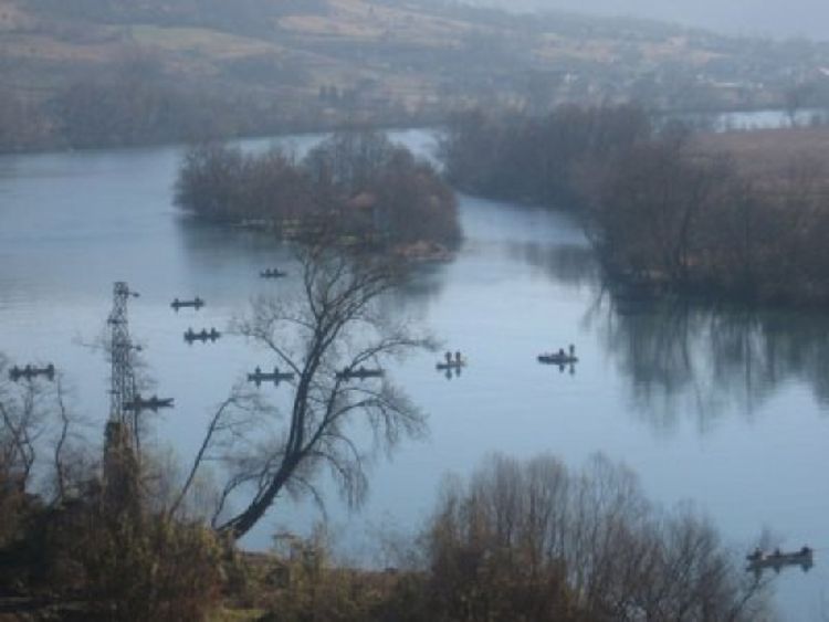 Uginuće ribe u Zvorničkom jezeru