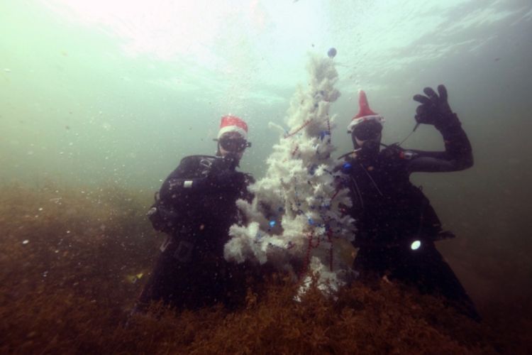 Ukrasili jelku pod vodom u Hutovom blatu