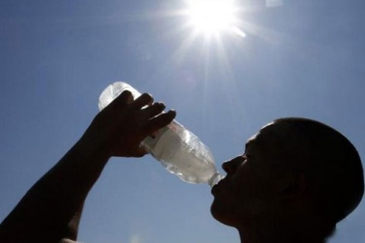 2013. godina biće najtoplija otkako se mjere temperature