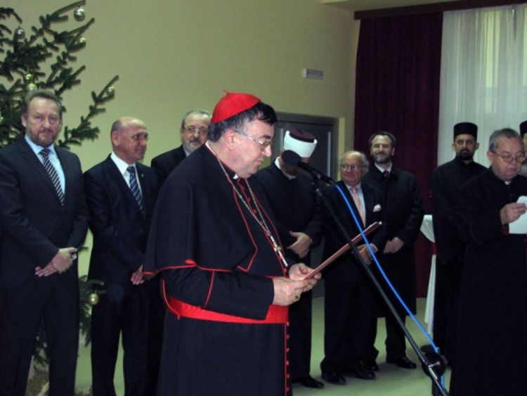 Kardinal Puljić: 2013. godina - godina vjere