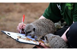 Popis životinja u londonskom zoo vrtu