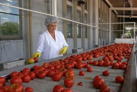 Sava Semberija izvezla 4.000 tona proizvoda