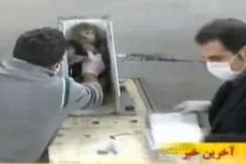 Iran poslao majmuna u svemir
