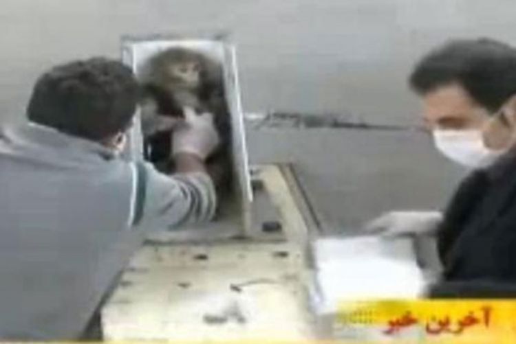 Iran poslao majmuna u svemir