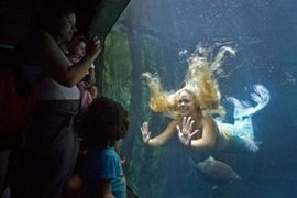 Brazilska sirena