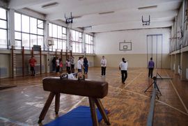 Većina fiskulturnih sala ne zadovoljava standarde