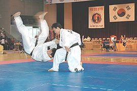Bojan Lalić evropski prvak u hapkidu