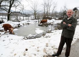 Medvjedi i vukovi sve češće zalaze u sela: Uništili usjeve, zaklali ...