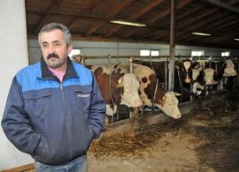 Hrana za stoku drastično poskupjela, farmeri prisiljeni rasprodavati ...