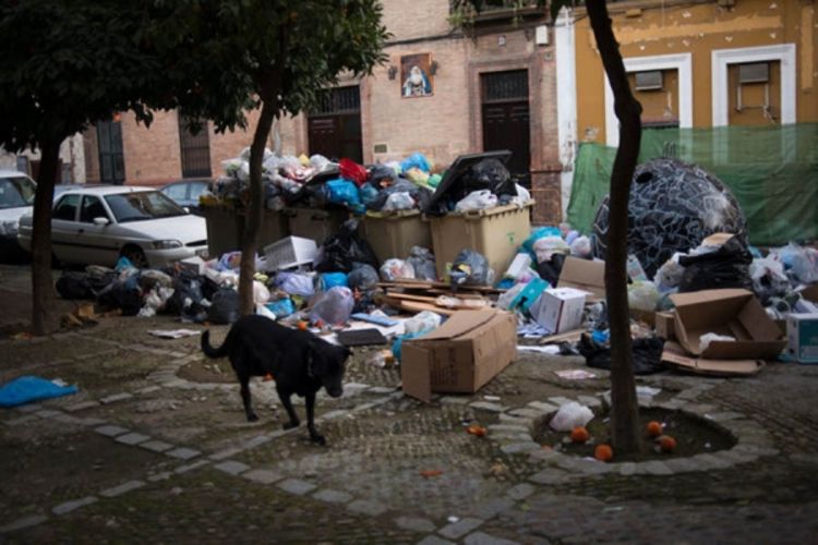 Sevilja zatrpana sa 5.000 tona smeća