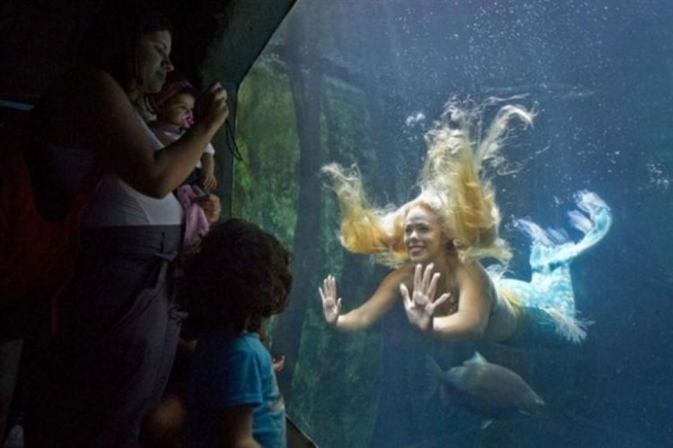 Brazilska sirena