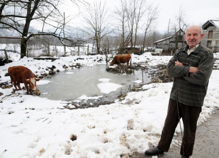 Medvjedi i vukovi sve češće zalaze u sela: Uništili usjeve, zaklali ovce