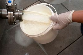EU: Srbija da vrati nivo aflatoksina