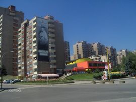 Zenica: Poginula nakon pada sa solitera