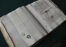 Mačje šape, nakon otkrića bh. istoričara, obišle svijet