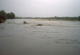 Gradiška: Sava u naglom porastu