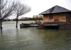 Sava i dalje raste